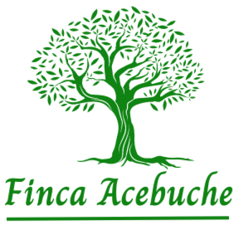 FINCA ACEBUCHE
